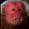 Profilbild von .