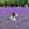恵み's profile picture