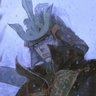 ¿?'s profile picture