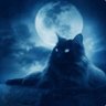 LunarNight's profile picture
