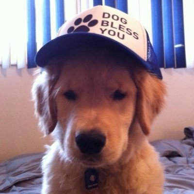 mary's profile picture