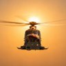 SKY SNAPPER's profile picture