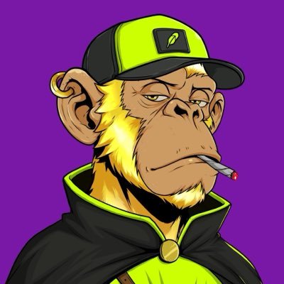 𝔹𝕣𝕒𝕚𝕟𝕝𝕖𝕤𝕤♛'s profile picture