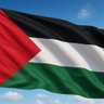Palastine 🇵🇸's profile picture