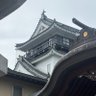 田中健 的头像