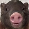 男出部さん 的头像