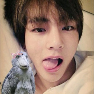 ⁷ SAW TEAR, 00:00, DOPE AND WINGS's profile picture