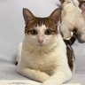 Фото профиля Blossomcats