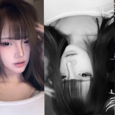xshibalnevercry's profile picture