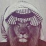Profilbild von Firas