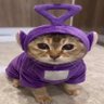 BO's profile picture