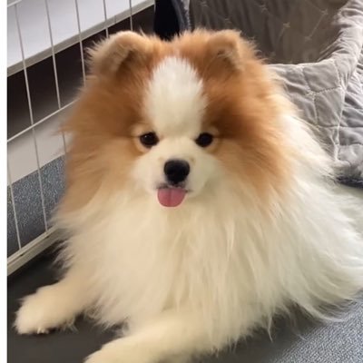 Kaegoodmmcr's profile picture