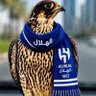 هلاالي💙 والقلب💚 هوااوي💙💚🇸🇦😜's profile picture