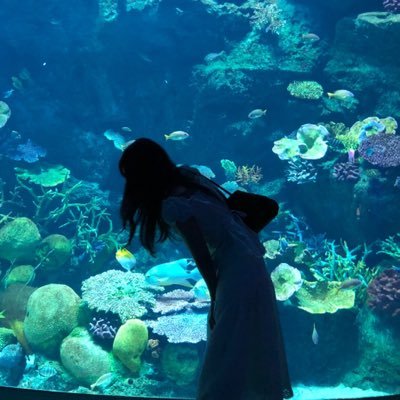 จักรวาล ✴︎'s profile picture