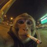 Фото профиля 360ric