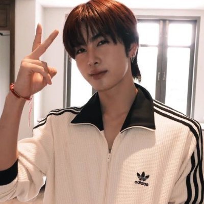santappnaravit's profile picture