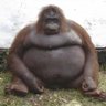 Profilbild von Karma ยฎ ๐จ๐ต ๐ต๐ธ