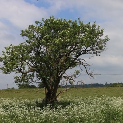 rgylsyzyks's profile picture