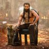 Sher's profile picture