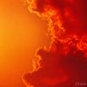 Bali Astrology 的头像