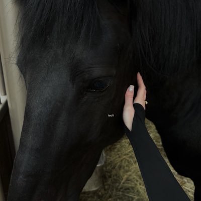 tcc1i's profile picture