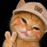Фото профиля 𝙲𝙰𝚃𝙵𝙻𝙸𝚇🐱🐈🇱🇷