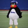 Profilbild von みどりぃ