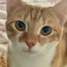 Profilbild von RGU37FI