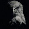 Фото профиля Kʜᴇʟʟ-Bᴏᴘᴘ 🦅