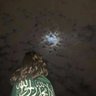 جووري profil fotoğrafı