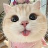 W. profil fotoğrafı