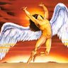 Gallinitas 的头像