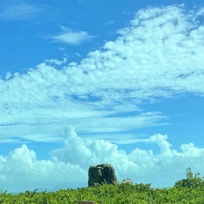 xiaowuxuezhang's profile picture