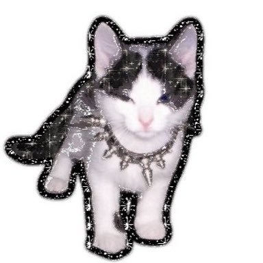 nicoddalgi's profile picture