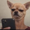 PMAKER profil fotoğrafı