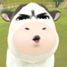 dream y's profile picture