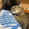 Фото профиля 忙人(いそじん)時々ひまじん ス茶バックスにハマり中 ゴールデンマン