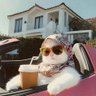 cia's profile picture