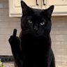 Ian Hollingworth's profile picture