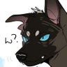 西叽's profile picture
