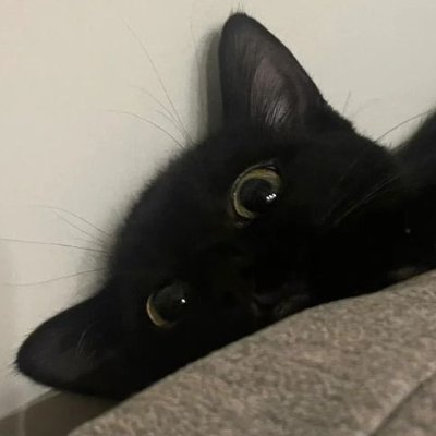 DBT0205's profile picture