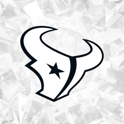 HoustonTexans's profile picture