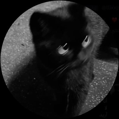 llixxp_99's profile picture