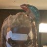 𝒸𝒾𝓈𝒸𝑜 profil fotoğrafı