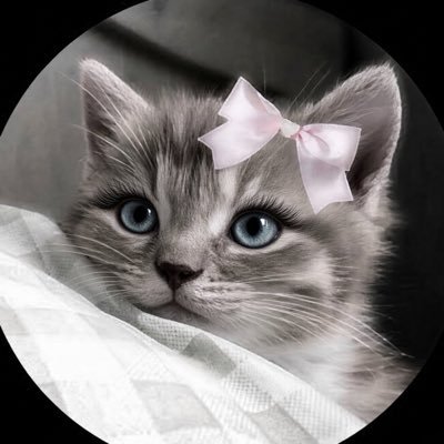 maddy's profile picture