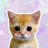 𝙞𝙥𝙖𝙣𝙘𝙝𝙪𝙪 ♡'s profile picture