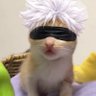 CCMPERRY๐ฆ๐บ's profile picture
