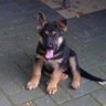 Jurgen profil fotoğrafı