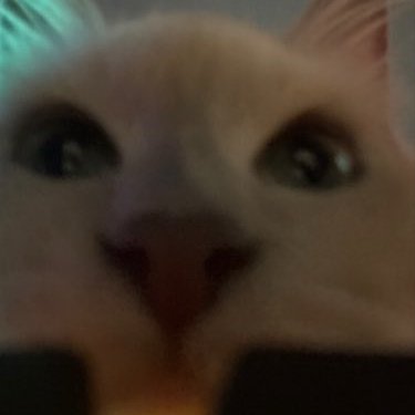 bvbyylexii's profile picture