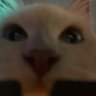 lexi profil fotoğrafı